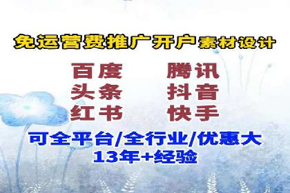某某SEM服务公司成功案例：从数据出发的营销策略